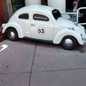 Meet your Posher, Lynn